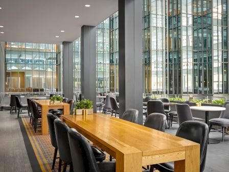 A modern dining area with wooden tables, black chairs, and large windows providing abundant natural light. Small plants adorn the tables.